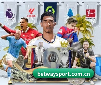 必威体育 APP - BETWAY